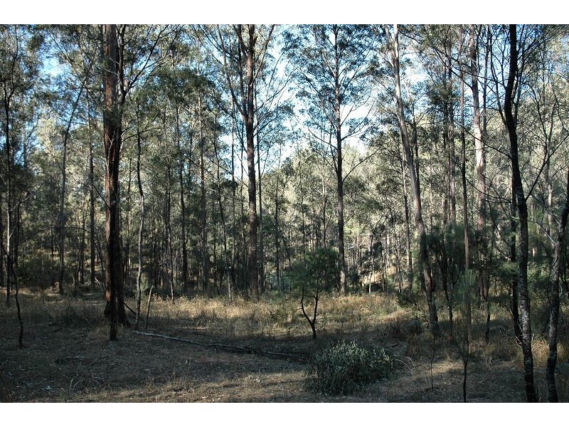 259 Boree Track, Laguna NSW 2325