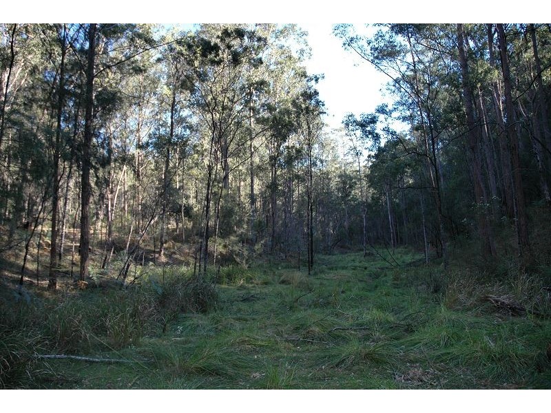 259 Boree Track, Laguna NSW 2325