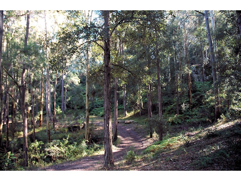 Wollombi NSW 2325