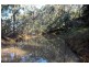 Wollombi NSW 2325