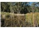 Laguna NSW 2325