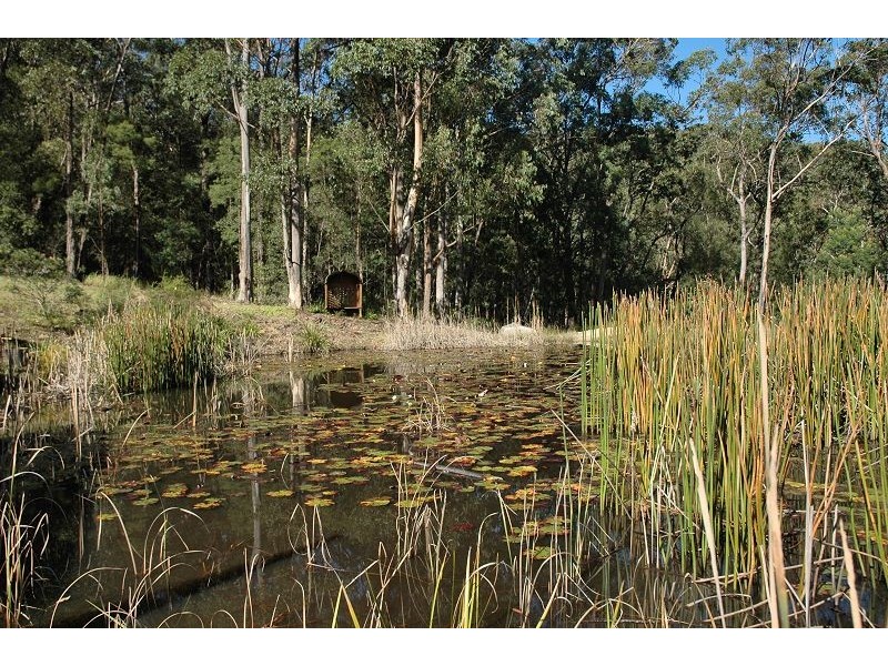 Laguna NSW 2325