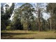 Bucketty NSW 2250