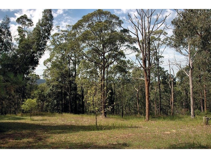 Bucketty NSW 2250