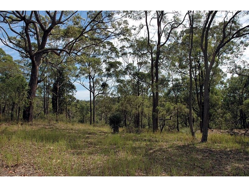 Bucketty NSW 2250