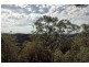 Bucketty NSW 2250