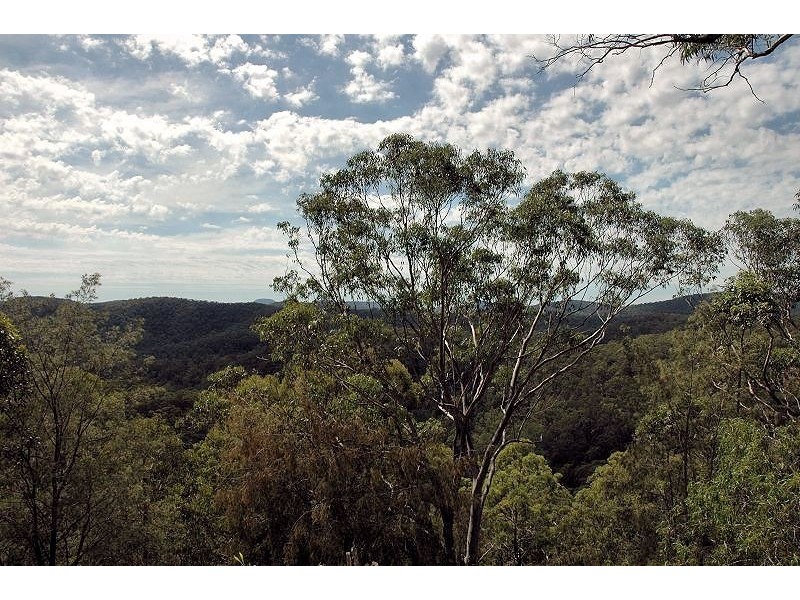Bucketty NSW 2250