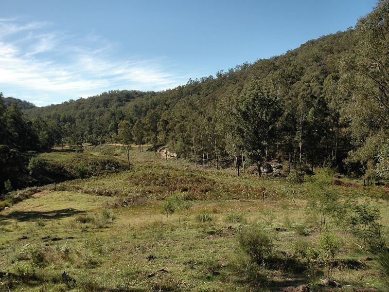 Laguna NSW 2325