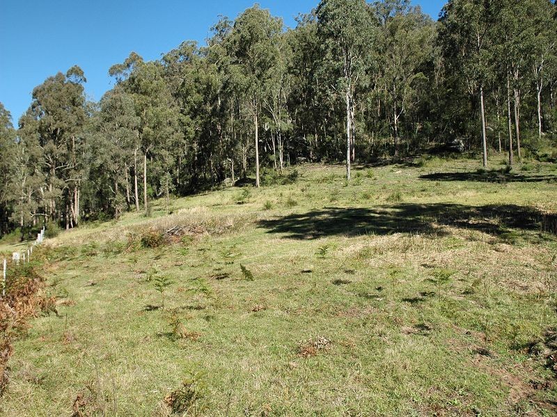 Laguna NSW 2325