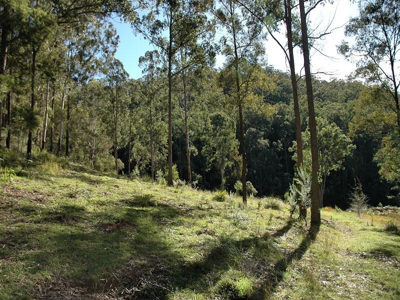 Laguna NSW 2325