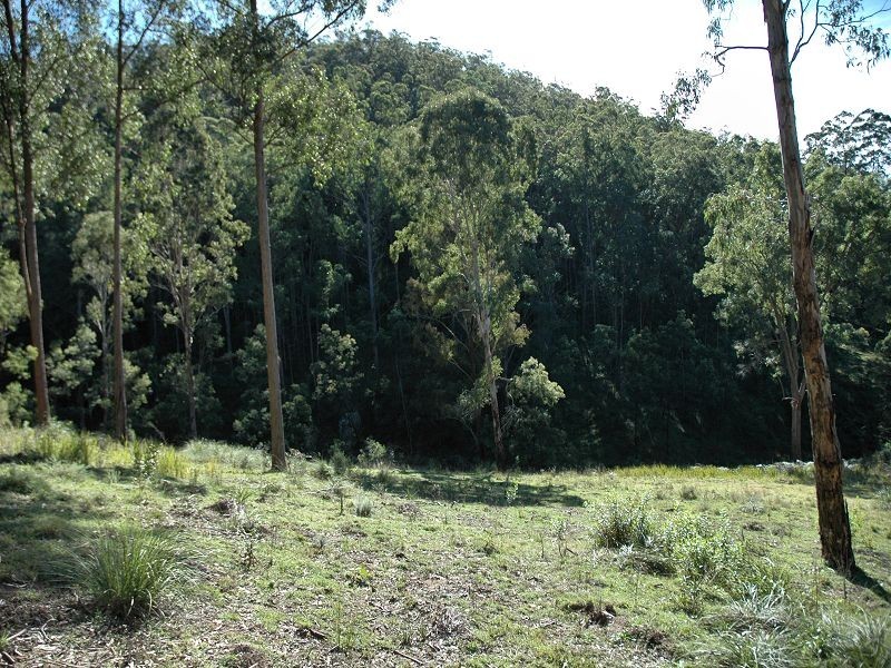 Laguna NSW 2325