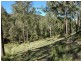 Laguna NSW 2325