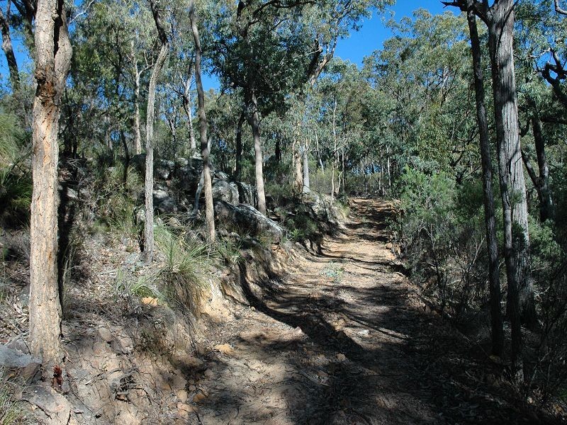 Laguna NSW 2325
