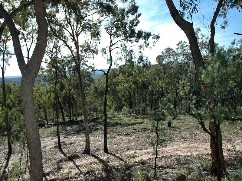 Laguna NSW 2325