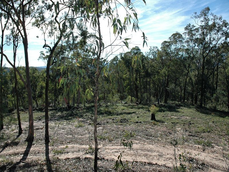 Laguna NSW 2325