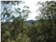 Laguna NSW 2325