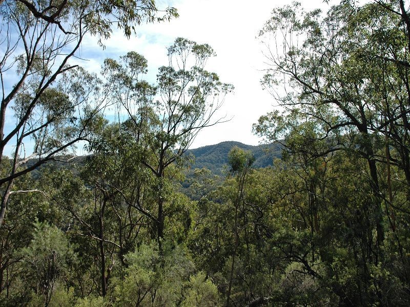 Laguna NSW 2325