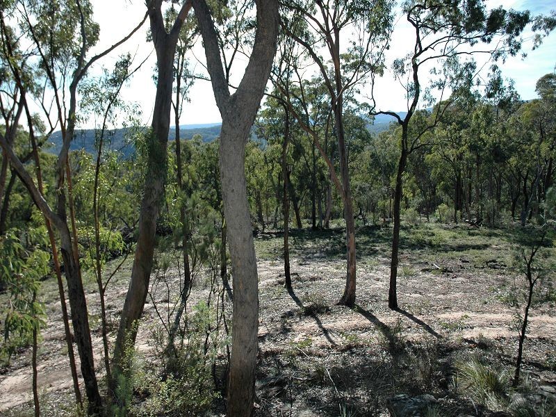 Laguna NSW 2325