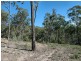 Laguna NSW 2325
