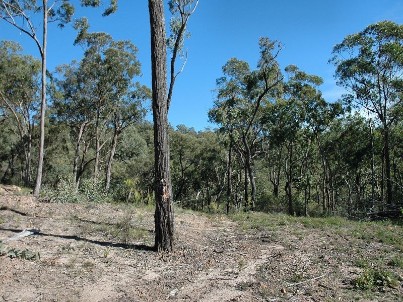 Laguna NSW 2325