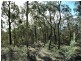 Laguna NSW 2325