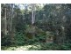 171 Quart Pot Creek Rd, Laguna NSW 2325