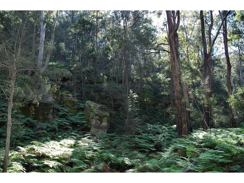 171 Quart Pot Creek Rd, Laguna NSW 2325