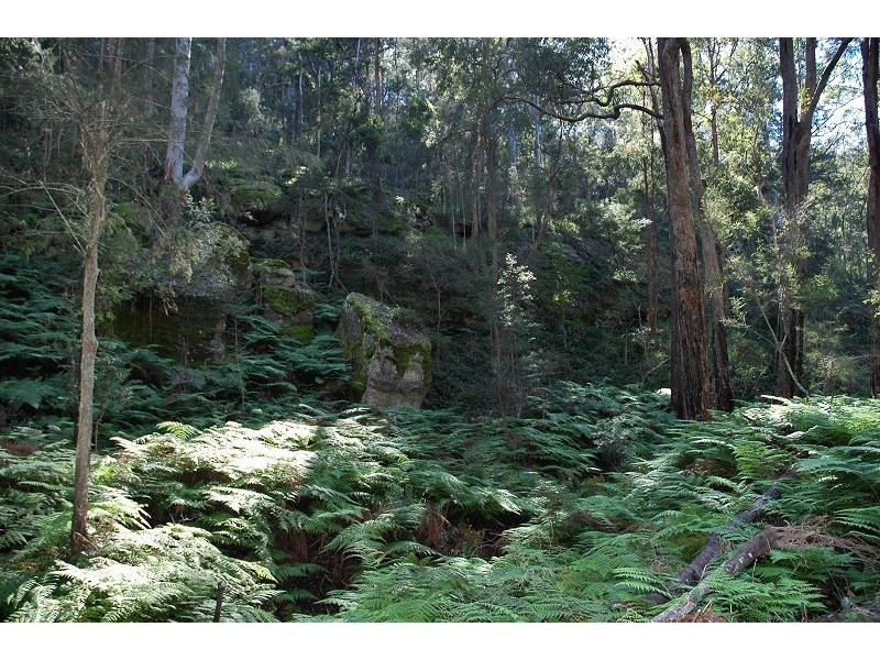 171 Quart Pot Creek Rd, Laguna NSW 2325