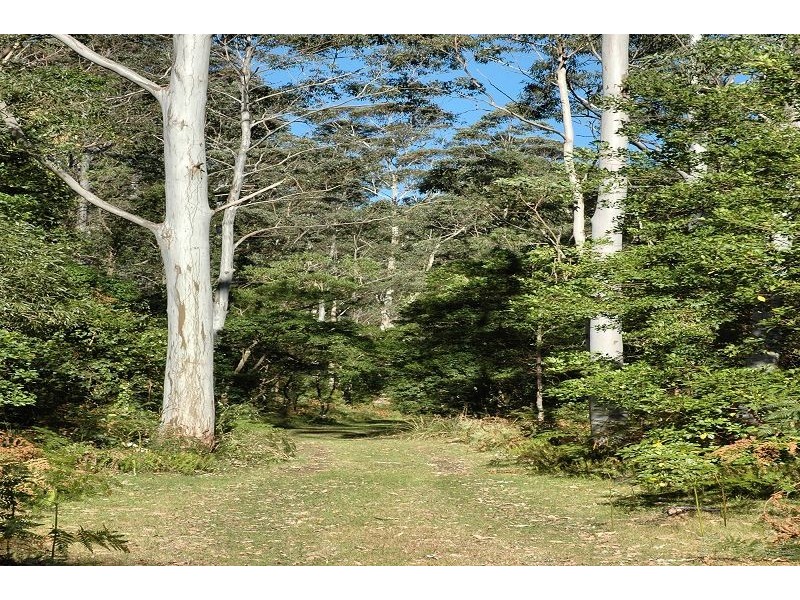 200 Billy Bourne Road, Wollombi NSW 2325