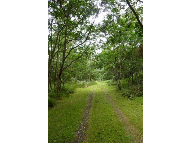 200 Billy Bourne Road, Wollombi NSW 2325