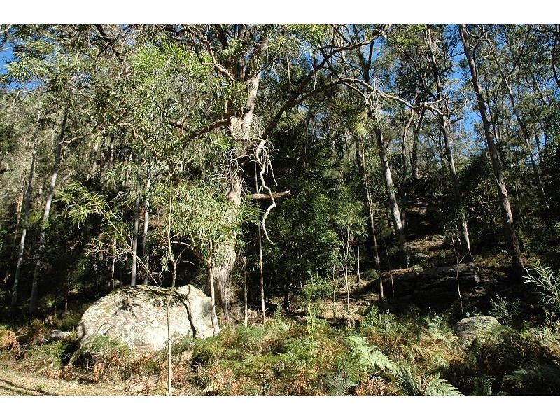 200 Billy Bourne Road, Wollombi NSW 2325