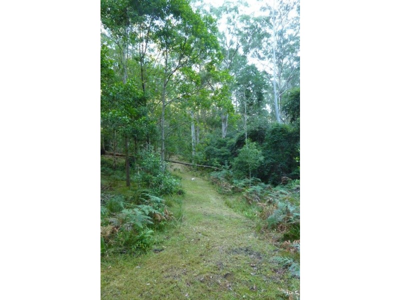 200 Billy Bourne Road, Wollombi NSW 2325