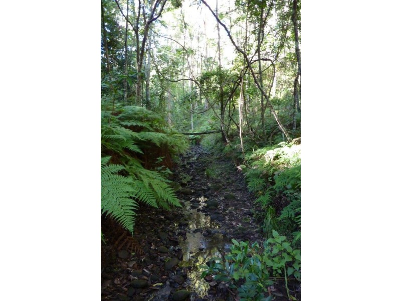 200 Billy Bourne Road, Wollombi NSW 2325