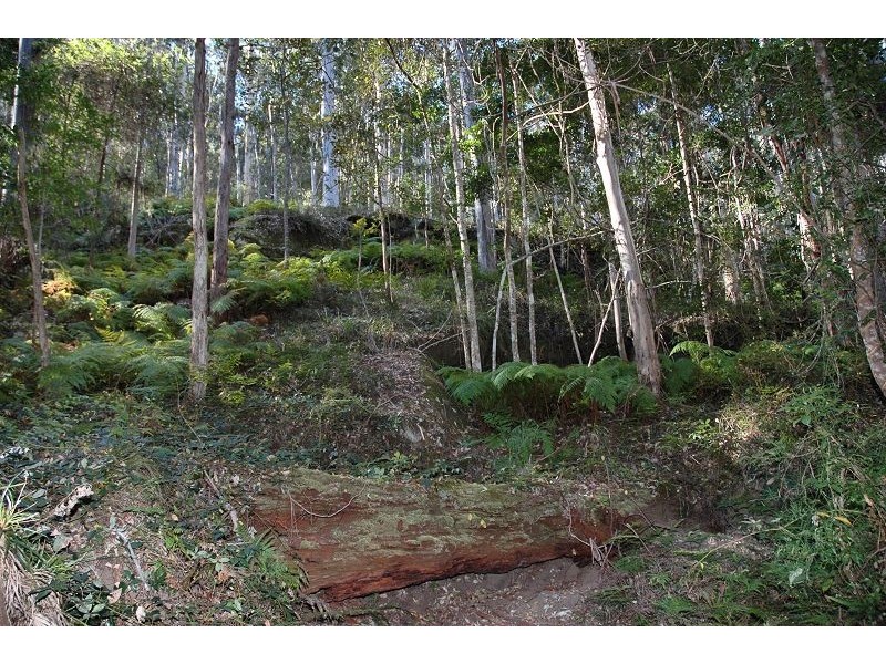 200 Billy Bourne Road, Wollombi NSW 2325