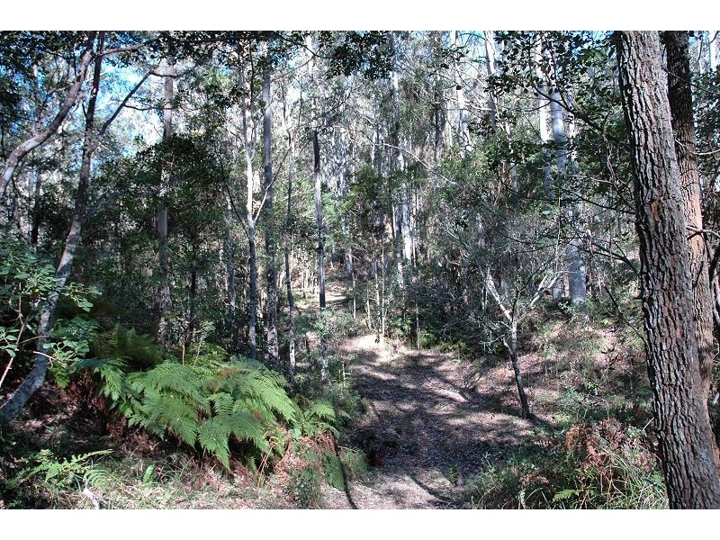 200 Billy Bourne Road, Wollombi NSW 2325