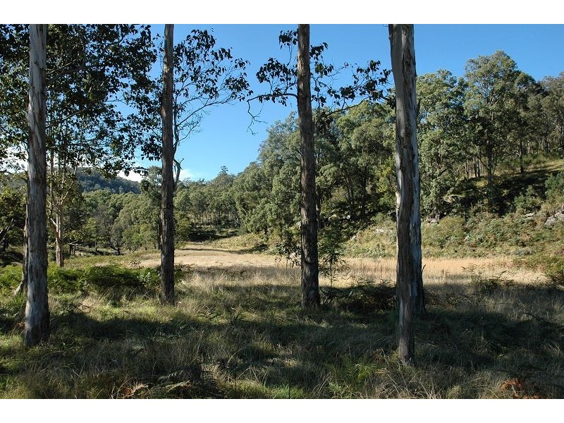 250 Murrays Run Road, Laguna NSW 2325