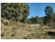 250 Murrays Run Road, Laguna NSW 2325
