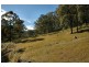 250 Murrays Run Road, Laguna NSW 2325