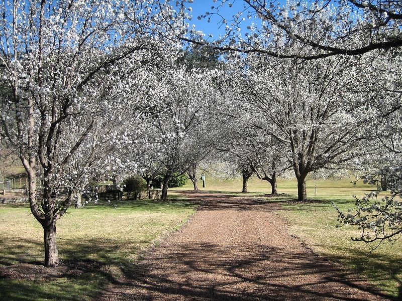 807 Putty Valley Road, Putty NSW 2330