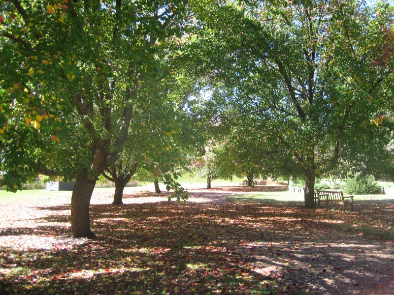 807 Putty Valley Road, Putty NSW 2330