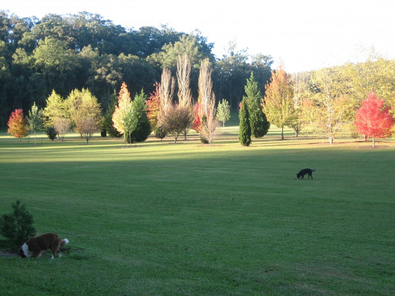 807 Putty Valley Road, Putty NSW 2330