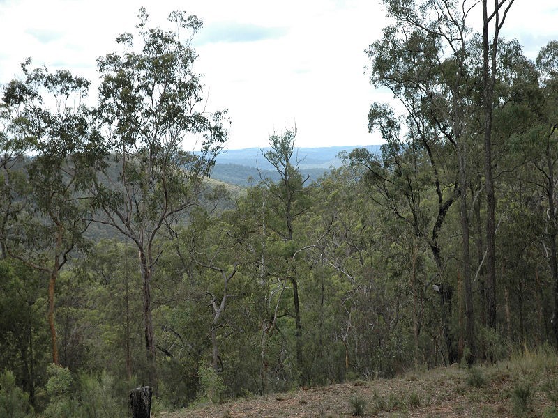 14 Upper Yango Creek Road, Laguna NSW 2325