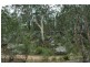 14 Upper Yango Creek Road, Laguna NSW 2325
