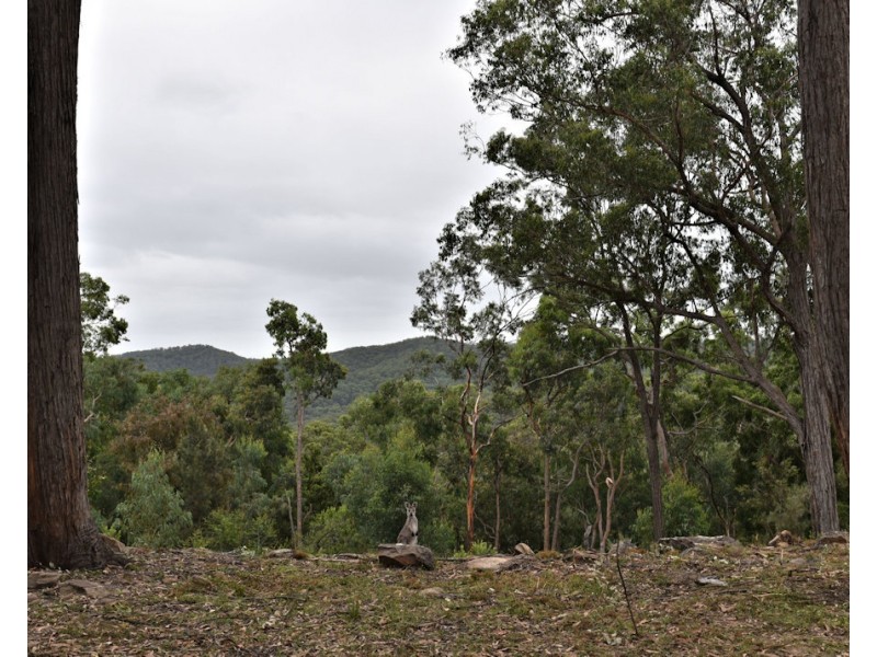 470 Milsons Arm Road, Wollombi NSW 2325