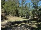 2883 Wollombi Road, Wollombi NSW 2325