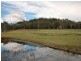 Lot 254 Yango Creek Road, Wollombi NSW 2325