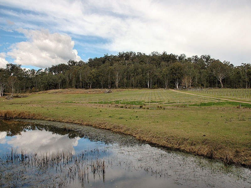 Lot 254 Yango Creek Road, Wollombi NSW 2325