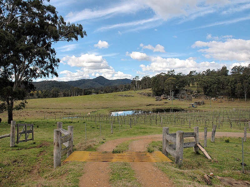 Lot 254 Yango Creek Road, Wollombi NSW 2325