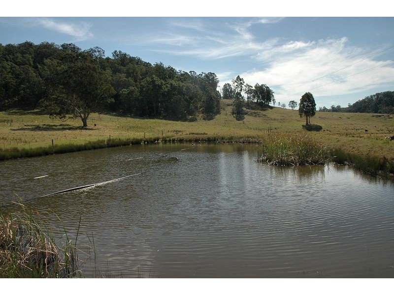 Lot 254 Yango Creek Road, Wollombi NSW 2325