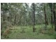 Lot 85&149&213 Stockyard Creek Road, Paynes Crossing NSW 2325